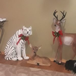 Meet your Posher, Telma